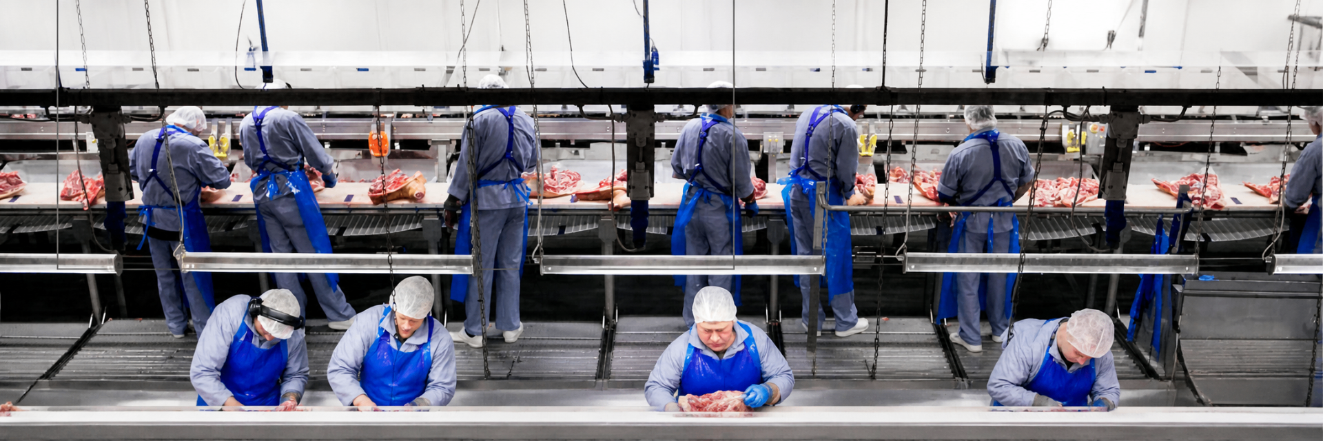 Línea de producción industrial alimentaria — operarios despiezando con cuchillos profesionales